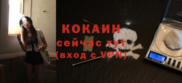 ГАЛЛЮЦИНОГЕННЫЕ ГРИБЫ Михайлов