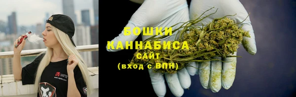 ГАЛЛЮЦИНОГЕННЫЕ ГРИБЫ Михайлов