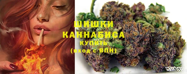 ГАЛЛЮЦИНОГЕННЫЕ ГРИБЫ Михайлов