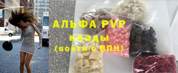 сатива Радужный