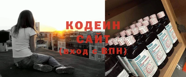 ГАЛЛЮЦИНОГЕННЫЕ ГРИБЫ Михайлов