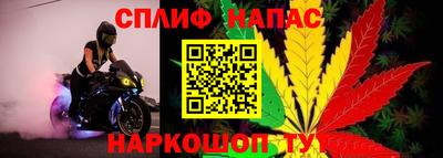 ПСИЛОЦИБИНОВЫЕ ГРИБЫ Апрелевка