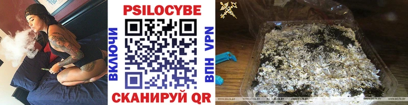 Галлюциногенные грибы Psilocybe где можно купить Нарткала